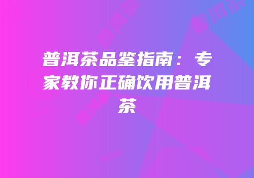 普洱茶品鉴指南：专家教你正确饮用普洱茶