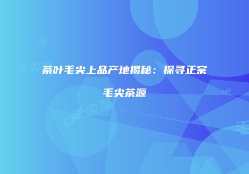 茶叶毛尖上品产地揭秘：探寻正宗毛尖茶源