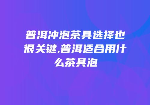 普洱冲泡茶具选择也很关键,普洱适合用什么茶具泡