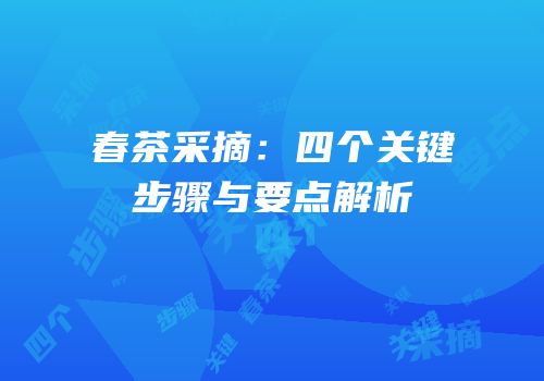 春茶采摘：四个关键步骤与要点解析