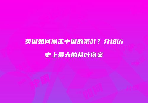 英国如何偷走中国的茶叶？介绍历史上最大的茶叶窃案