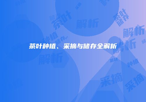 茶叶种植、采摘与储存全解析