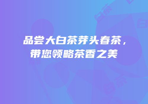 品尝大白茶芽头春茶，带您领略茶香之美