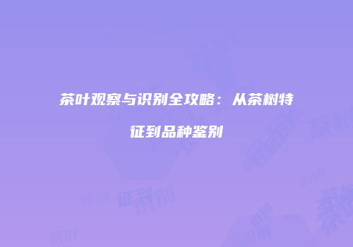 茶叶观察与识别全攻略：从茶树特征到品种鉴别