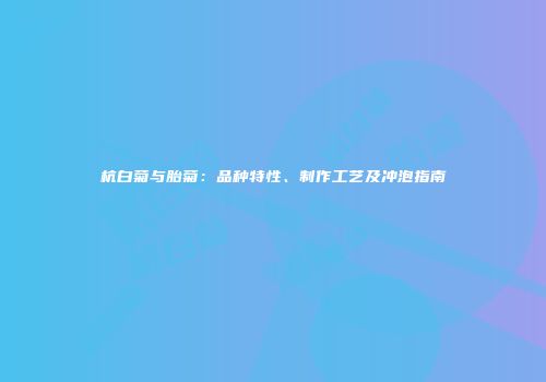 杭白菊与胎菊：品种特性、制作工艺及冲泡指南