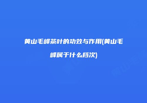 黄山毛峰茶叶的功效与作用(黄山毛峰属于什么档次)