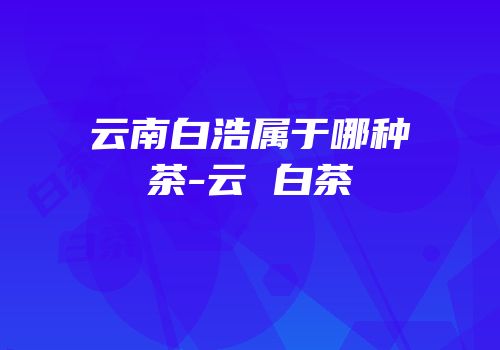 云南白浩属于哪种茶-云 白茶