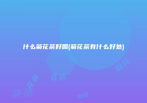 什么菊花茶好喝(菊花茶有什么好处)
