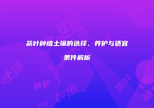 茶叶种植土壤的选择、养护与适宜条件解析