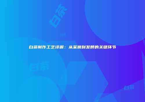 白茶制作工艺详解：从采摘到发酵的关键环节