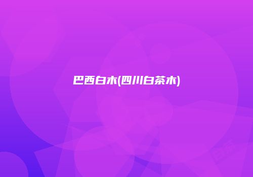 巴西白木(四川白茶木)