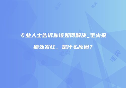 专业人士告诉你该如何解决_毛尖采摘处发红，是什么原因？