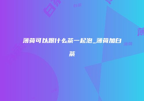 薄荷可以跟什么茶一起泡_薄荷加白茶