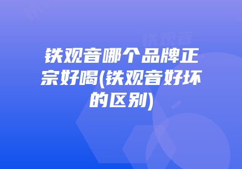 铁观音哪个品牌正宗好喝(铁观音好坏的区别)