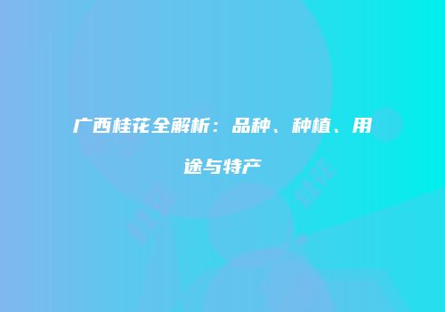 广西桂花全解析：品种、种植、用途与特产