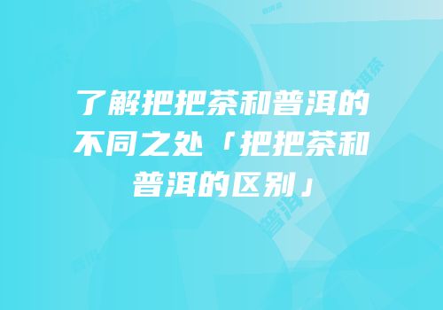 了解把把茶和普洱的不同之处「把把茶和普洱的区别」