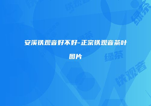 安溪铁观音好不好-正宗铁观音茶叶图片