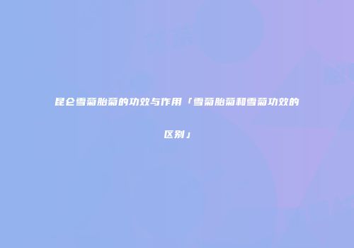 昆仑雪菊胎菊的功效与作用「雪菊胎菊和雪菊功效的区别」