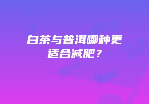 白茶与普洱哪种更适合减肥？