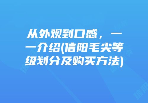从外观到口感，一一介绍(信阳毛尖等级划分及购买方法)