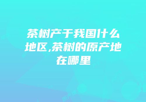 茶树产于我国什么地区,茶树的原产地在哪里