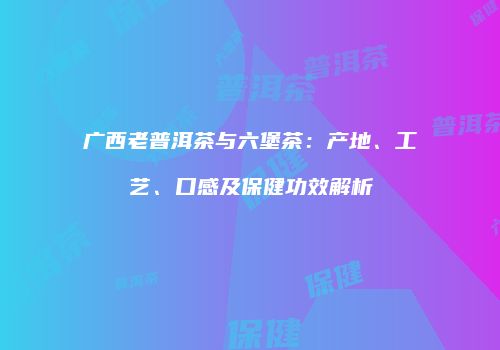 广西老普洱茶与六堡茶：产地、工艺、口感及保健功效解析