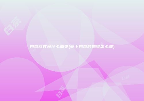 白茶回甘是什么感觉(爱上白茶的感觉怎么样)