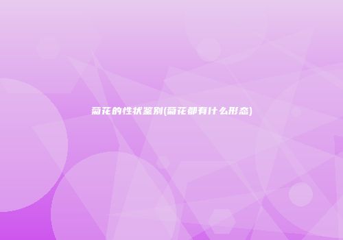 菊花的性状鉴别(菊花都有什么形态)
