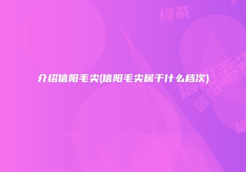 介绍信阳毛尖(信阳毛尖属于什么档次)