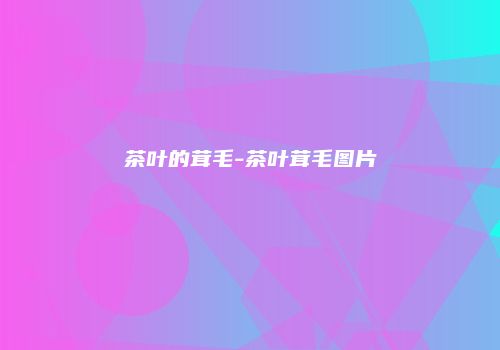 茶叶的茸毛-茶叶茸毛图片