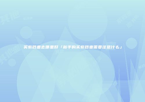 买紫砂壶去哪里好「新手购买紫砂壶需要注意什么」