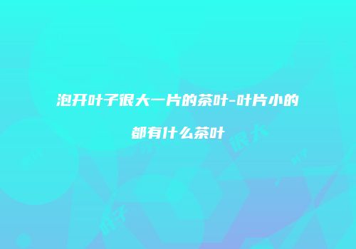 泡开叶子很大一片的茶叶-叶片小的都有什么茶叶