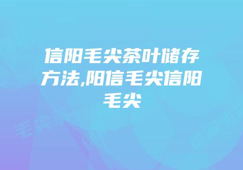信阳毛尖茶叶储存方法,阳信毛尖信阳毛尖