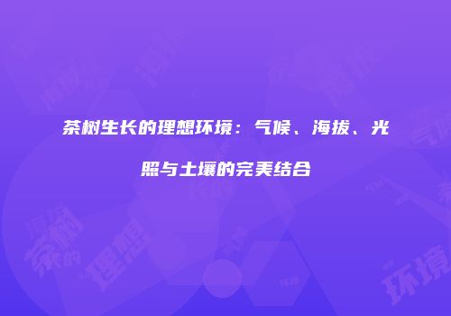 茶树生长的理想环境：气候、海拔、光照与土壤的完美结合