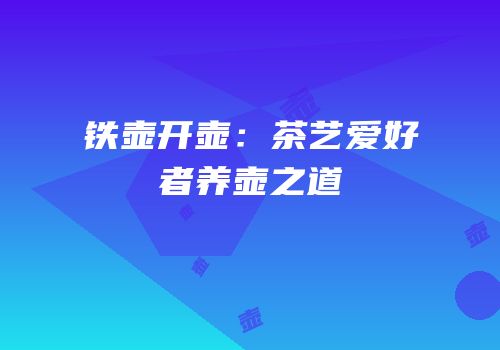 铁壶开壶：茶艺爱好者养壶之道