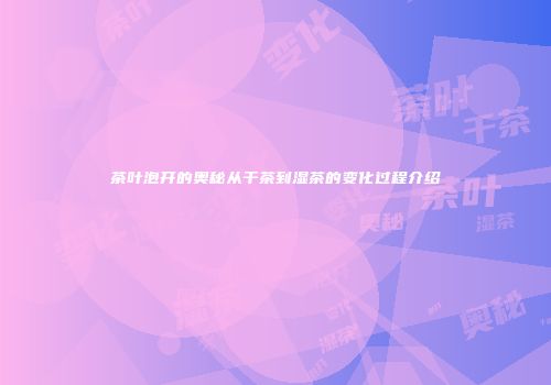 茶叶泡开的奥秘从干茶到湿茶的变化过程介绍