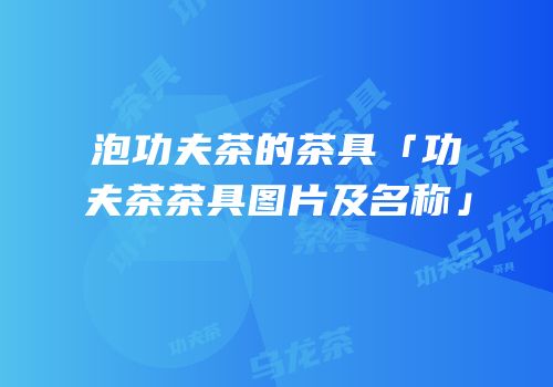 泡功夫茶的茶具「功夫茶茶具图片及名称」