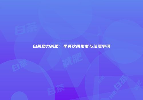 白茶助力减肥：早餐饮用指南与注意事项