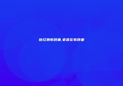 徐红娟紫砂壶,老莲花紫砂壶