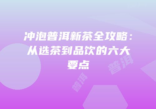 冲泡普洱新茶全攻略：从选茶到品饮的六大要点