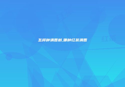 怎样种清香树,哪种红茶清香