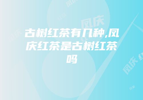 古树红茶有几种,凤庆红茶是古树红茶吗
