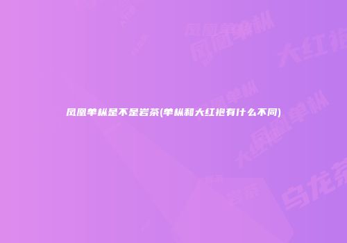 凤凰单枞是不是岩茶(单枞和大红袍有什么不同)