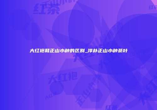 大红袍和正山小种的区别_淳朴正山小种茶叶