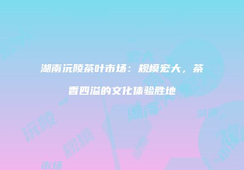 湖南沅陵茶叶市场：规模宏大，茶香四溢的文化体验胜地