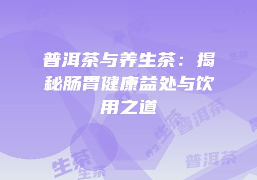 普洱茶与养生茶：揭秘肠胃健康益处与饮用之道