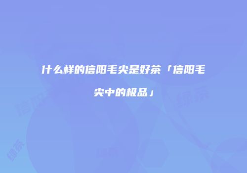 什么样的信阳毛尖是好茶「信阳毛尖中的极品」