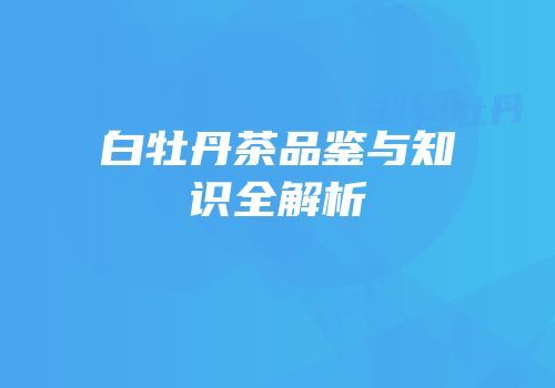 白牡丹茶品鉴与知识全解析