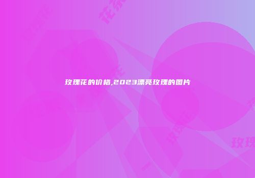 玫瑰花的价格,2023漂亮玫瑰的图片