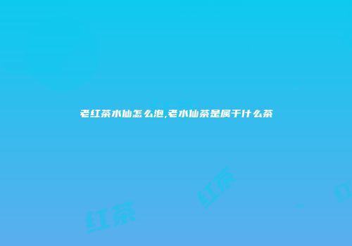老红茶水仙怎么泡,老水仙茶是属于什么茶